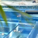 Iria Art Hotell Agia Anna (Naxos)