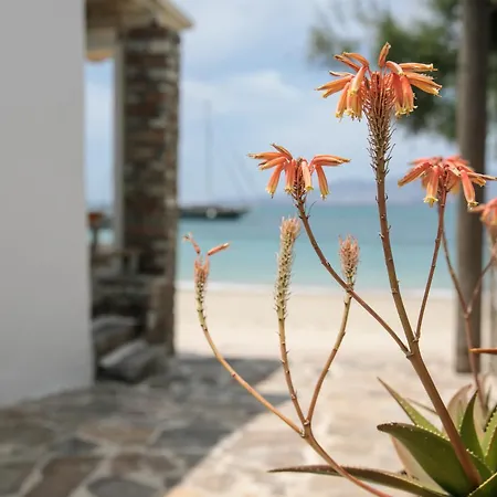 فندق Iria Art 4*